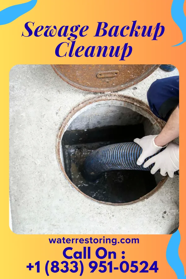 Sewage Backup Cleanup in Gifford, SC